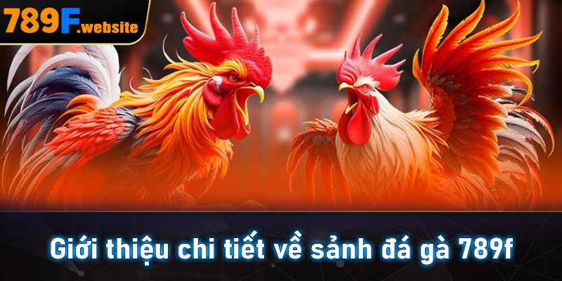 Giới thiệu chi tiết về sảnh đá gà 789f