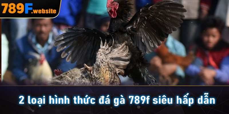 2 loại hình thức đá gà 789f siêu hấp dẫn