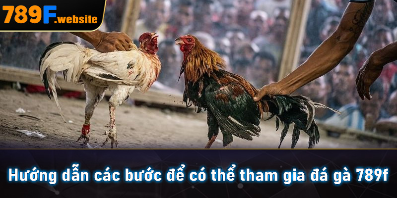 Hướng dẫn các bước để có thể tham gia đá gà 789f