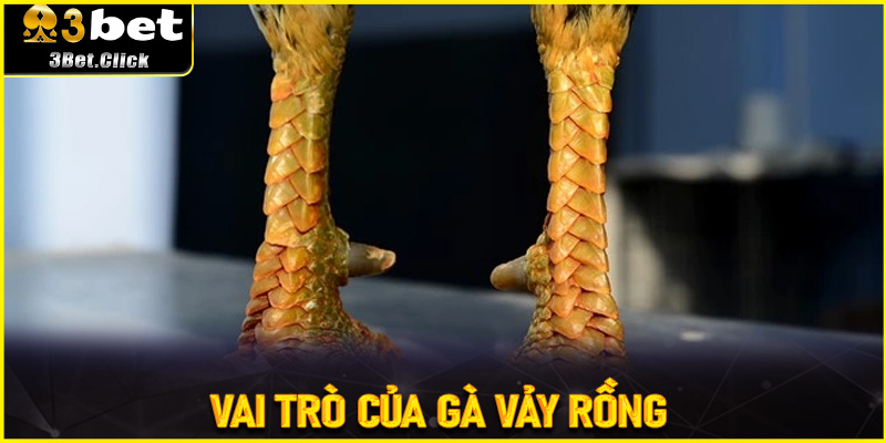 Vai Trò Của Gà Vảy Rồng Trong Phân Tích Trận Đấu Trên 3bet