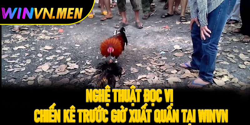 Nghệ thuật đọc vị chiến kê trước giờ xuất quân tại Winvn
