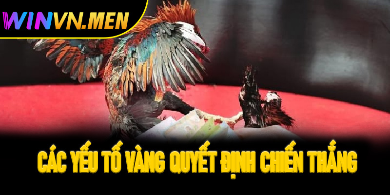 Các yếu tố vàng quyết định chiến thắng trong Đá gà Thomo Winvn