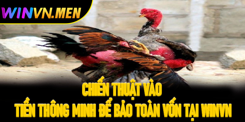 Chiến thuật vào tiền thông minh để bảo toàn vốn tại Winvn