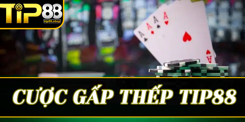 Nghệ thuật quản trị rủi ro khi thám hiểm đại dương Tip88