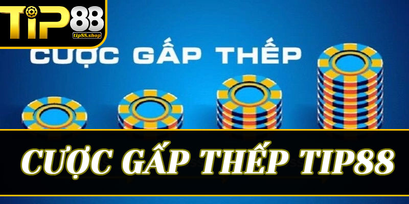 Giải mã thuật toán Cược gấp thếp Tip88: Biến xác suất thành lợi nhuận vĩnh cửu